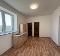 A room with a kitchen unit, a wooden decor floor, two wooden doors.