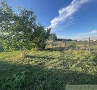 Gardens in Jatov with lush grass and trees under a clear blue sky.
