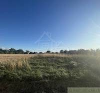 Blue sky over the fields and greenery in the gardens of Jatov during a sunny day.