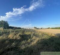 A wide field with grass and sky in Jatov, Záhrady.