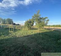 Gardens in Jatov with lawns and trees under a blue sky.