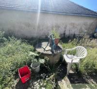 Garden in Jatov with a pump, plastic chair, and bucket by the family house.
