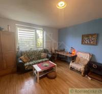 Living room with a sofa and wooden decor flooring in a family house.