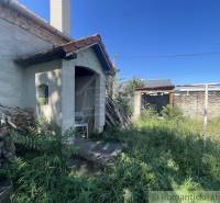 An overgrown yard of a family house in Jatov with a wooden firewood storage.