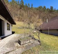 The garden by the cottage in Moštenica with a view of the slope with the forest.