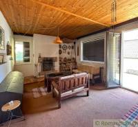 Interior of a cabin with a wooden ceiling, a sofa set, and a fireplace, with a view of the garden.