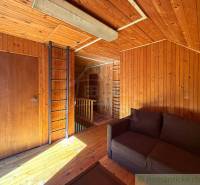 Interior of a cabin with wood-patterned paneling and flooring, a sofa, and a ladder.