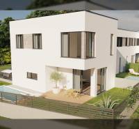 A family house in the town of Nin with a garden, swimming pool, and terrace, surrounded by greenery.