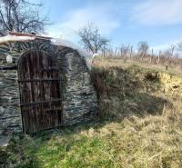 Stone entrance to a cellar surrounded by nature in the vineyards near Zlaté Moravce.