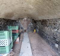 Stone cellar with shelves and plastic crates in Vinice.