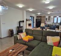 Living room of a family house with a fireplace, sofa, and kitchenette.