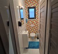 A colorful bathroom with tiles and a blue carpet in a family house.
