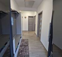 A hallway with a wooden decor floor and built-in wardrobes in a family house.