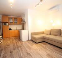 Living room of a studio apartment with a kitchenette and a wooden decor floor.