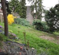 Garden with lawn, trees, and shrubs in Bratislava - Old Town on Lichardova Street.
