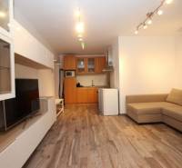 Living room with a kitchenette, sofa, wooden decor flooring, and a television in a studio apartment.