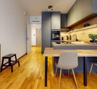 RentHub-I-Bottova-I-Metroplis-I-S-predzahradkou-Kitchen.jpg