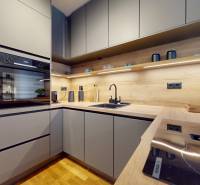 RentHub-I-Bottova-I-Metroplis-I-S-predzahradkou-12172025_152741.jpg