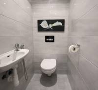 A toilet with a wall-hung bowl and a sink in a 3-room apartment.