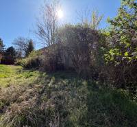 The garden at the family house on Farská Street in Horné Lefantovce, overgrown with grass and bushes.