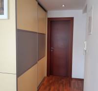 A hallway in a 3-room apartment with a wooden decor floor and a built-in wardrobe.