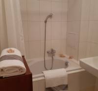 Bathroom with shower, bathtub, sink, and white towels, suitable for a 3-room apartment.