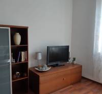 Living room with wood-patterned flooring, a bookshelf, a television, and decorative items.