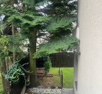 The garden of a family house on Mozart Street in Bratislava - Staré Mesto with paving and conifers.