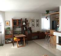 Living room with dark wood furniture and a fireplace in a family house.