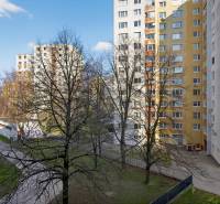 12 dvor Sevcenkova.jpg