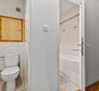 10  wc Sevcenkova.jpg