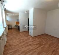 Spacious interior of a 2-room apartment with a wooden decor floor and a kitchen.