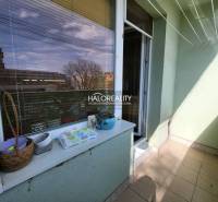 A balcony of a 3-room apartment with flower pots and a view of the city Partizánske.