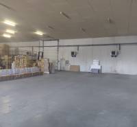 Spacious interior of warehouses and halls with cardboard boxes and workers.