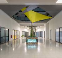 Office space with a plant, glass doors, and colorful ceiling decoration.
