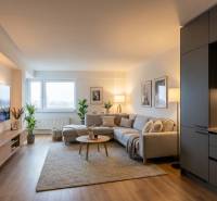 Living room in a two-room apartment with wood-patterned flooring, a gray sofa, and a TV.