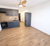 Studio apartment with a kitchenette and a wooden decor floor, refrigerator.