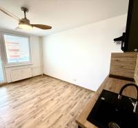 Studio apartment with a fan, kitchenette, and wood-patterned flooring.