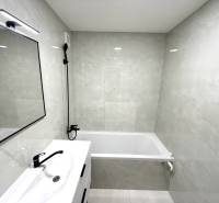 A bathroom in a studio apartment with a shower, bathtub, sink, and mirror.
