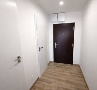 Entrance area in a studio apartment with doors and flooring featuring a wood design.