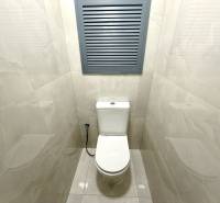 A toilet in a studio apartment with white tiles and a gray ventilation window.