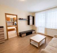 Living room in a two-room apartment with a wooden decor floor and white curtains.