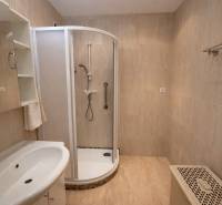 Bathroom with a shower and a sink in a 2-room apartment, tiles with a light decor.