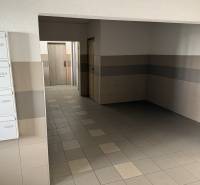 The entrance hall of the apartment building on Kríkova Street in Bratislava - Vrakuňa.