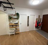 A hallway with four doors, a wooden decor floor, and coat hooks in a 4-room apartment.