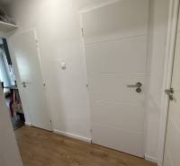 A hallway in a 4-room apartment with white doors and a wooden decor floor.