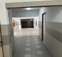 A hallway with ceramic tiles and cladding in a 4-room apartment.