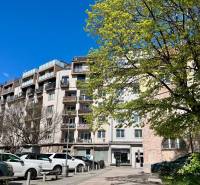 Apartment building on Dulovo Square in Bratislava - Ružinov with trees and parked cars.