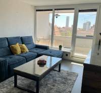 Living room in a 3-room apartment with a dark couch, a coffee table, and large windows.