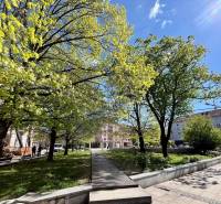Greenery and trees at Dulovo Square in Bratislava - Ružinov with sunny weather.